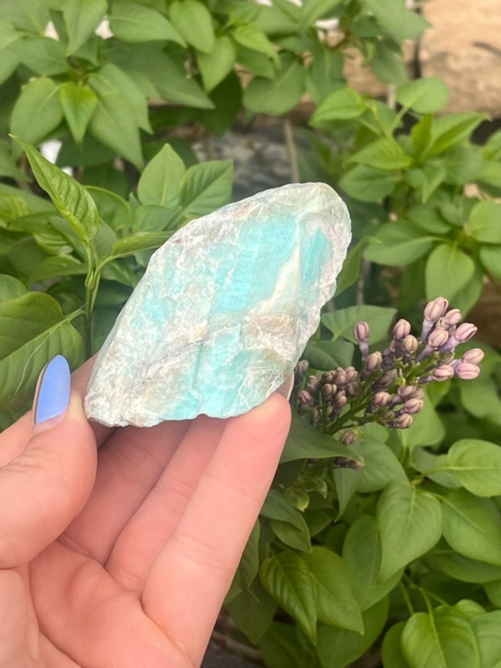 Color Rich Blue/Green Colorado Amazonite Small Crystal Specimen